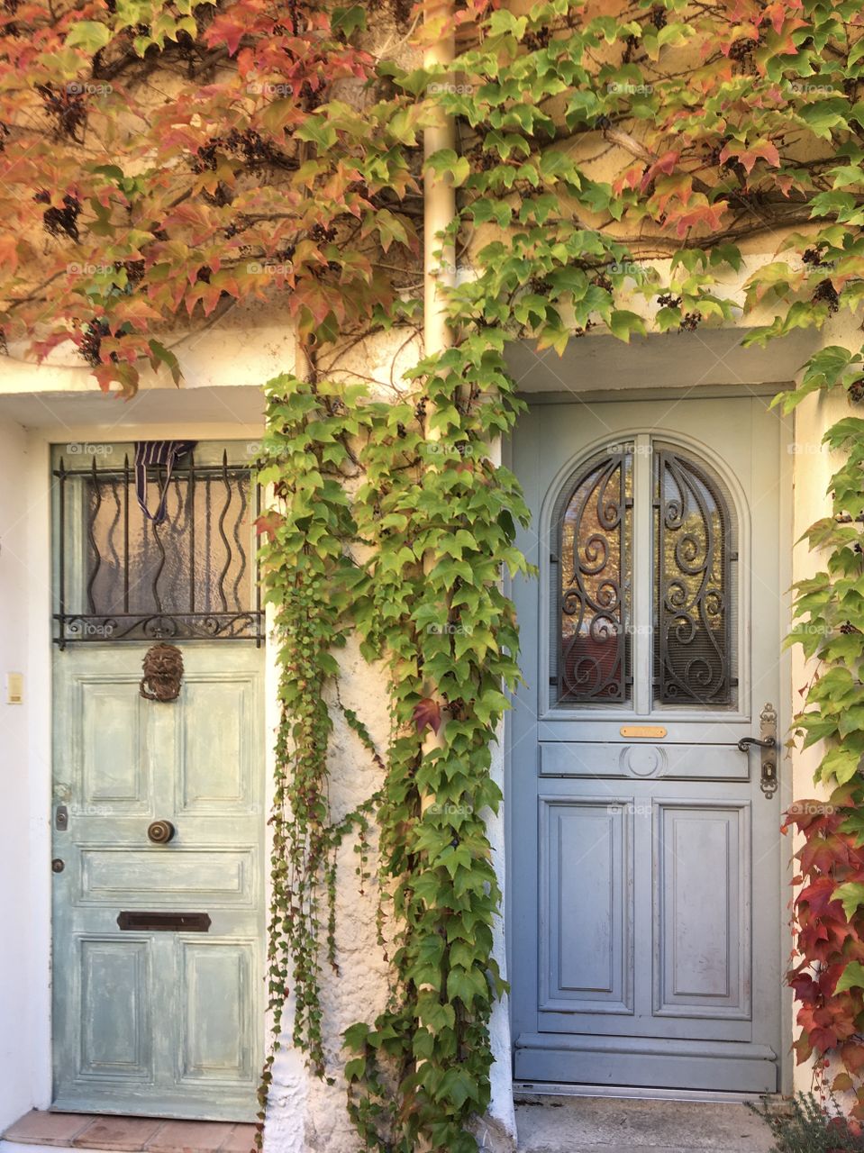Houses doors in autumn 