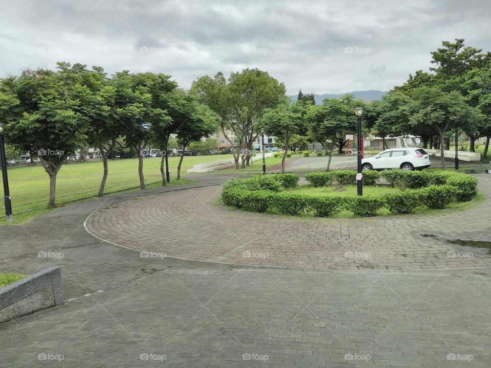 a white car in a trees
