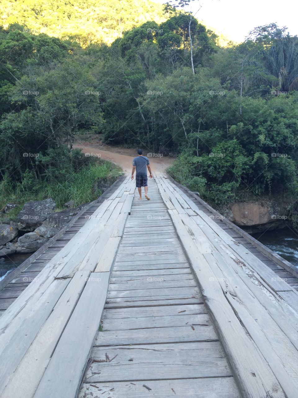 Rear view of a man walking on wooden footbridge
