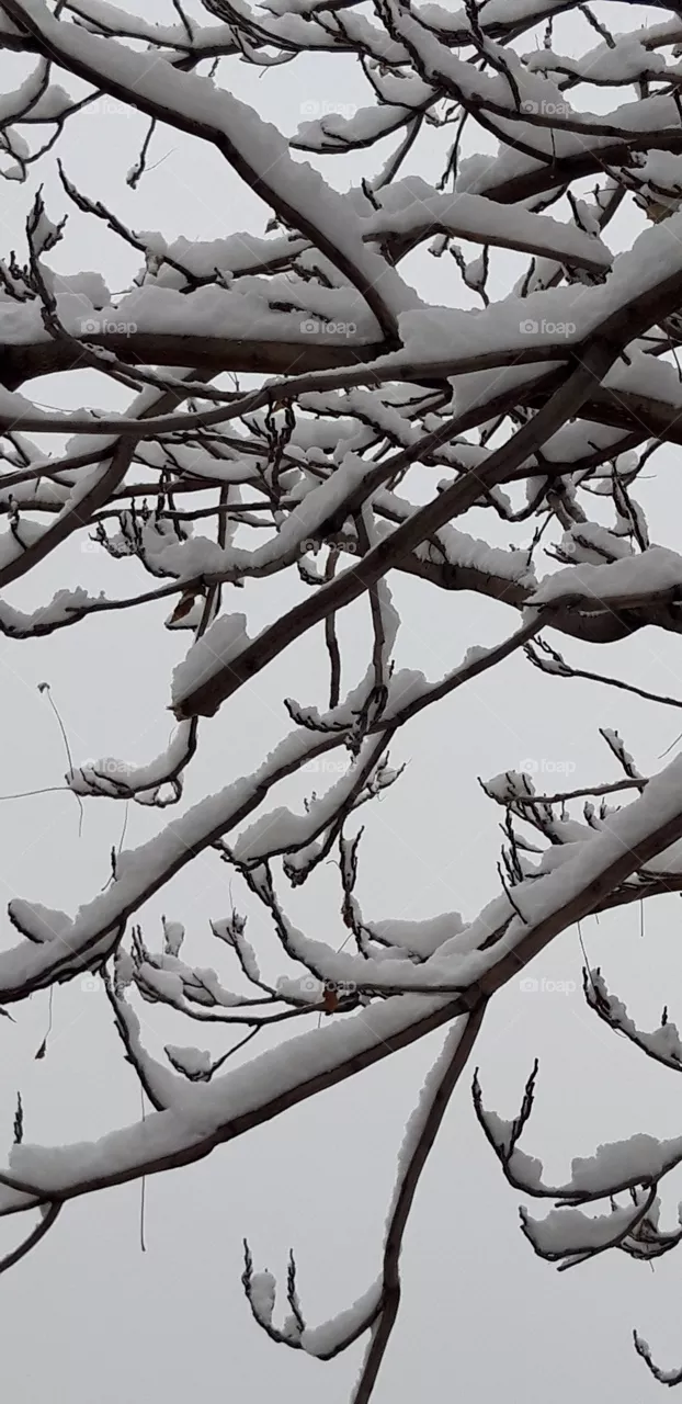 snow