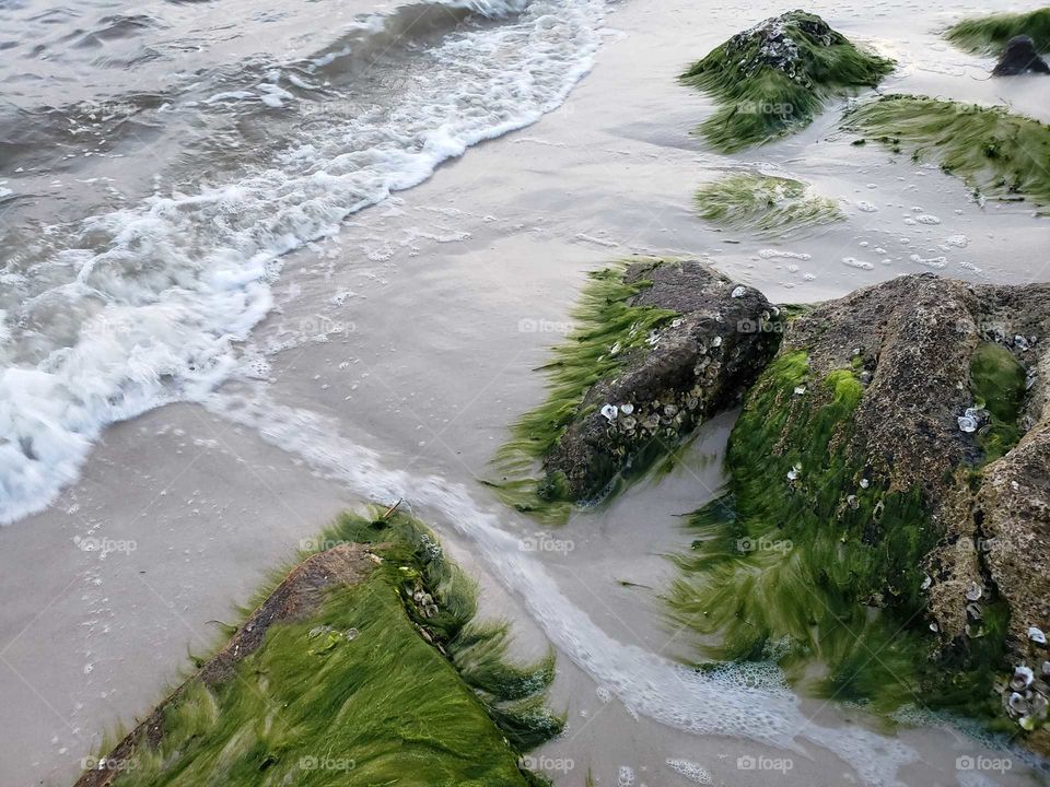 Waves lapping at moss covered rocks on the beach.