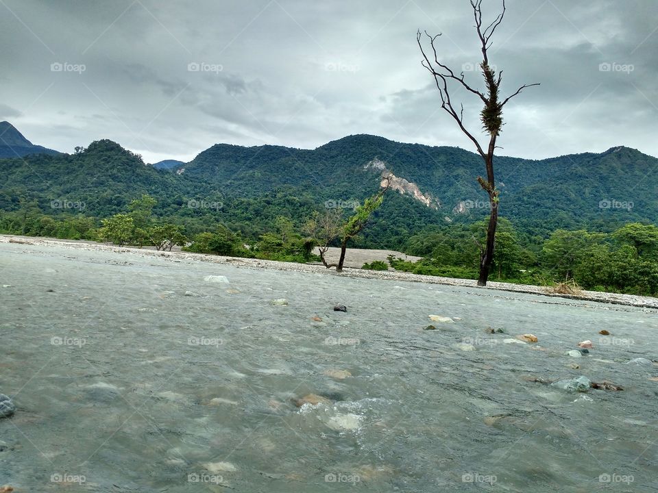 A beautiful  scenery of  jayanti hills  West Bengal,  India