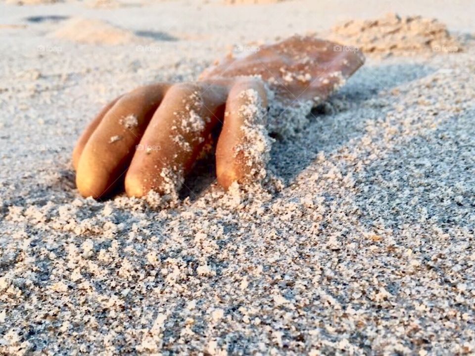 Thing takes a holiday!  Glove on the beach. Freaky fingers. Spooky sand hand. 