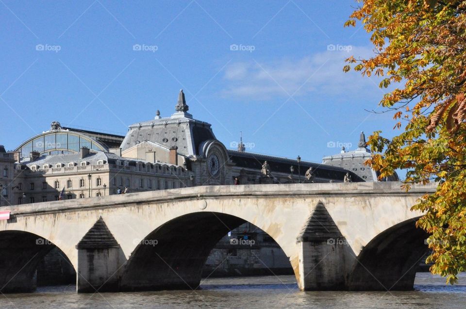 French bridge 