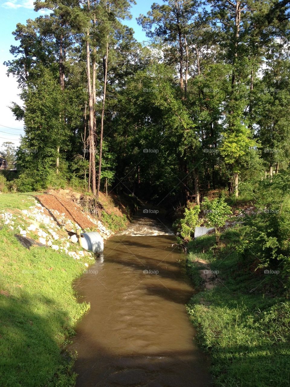 The creek at Fallcreek