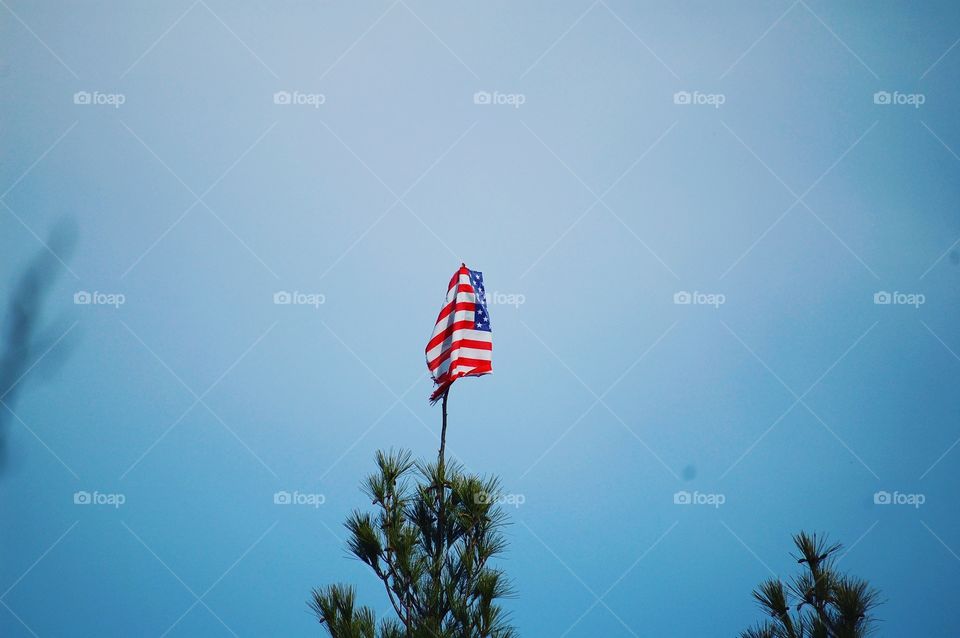 Treetop Flag
