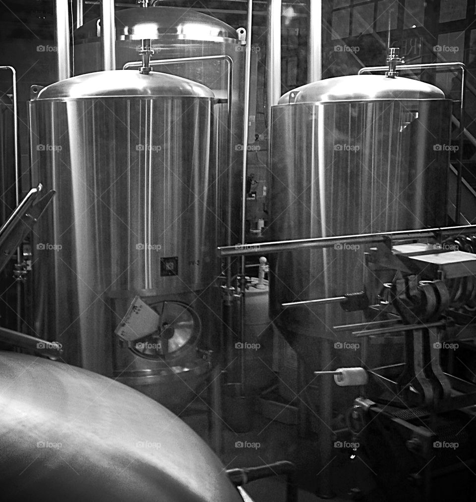 Craft brewery . Behind the scenes process of brewing beer