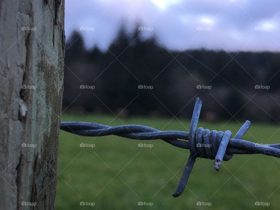 Fence, No Person, Outdoors, Barbed Wire, Security