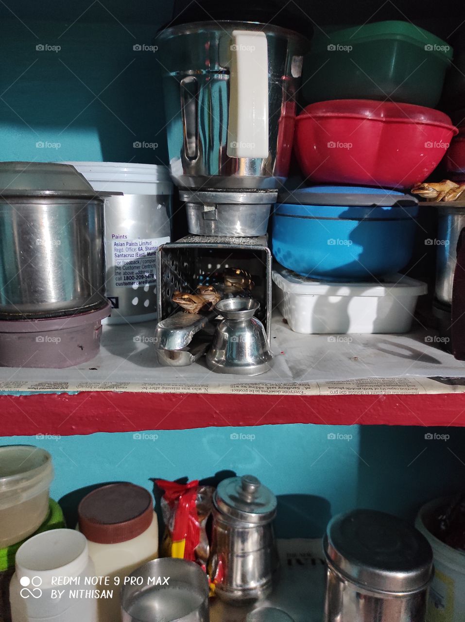 frog wounder 🐸🐸🐸