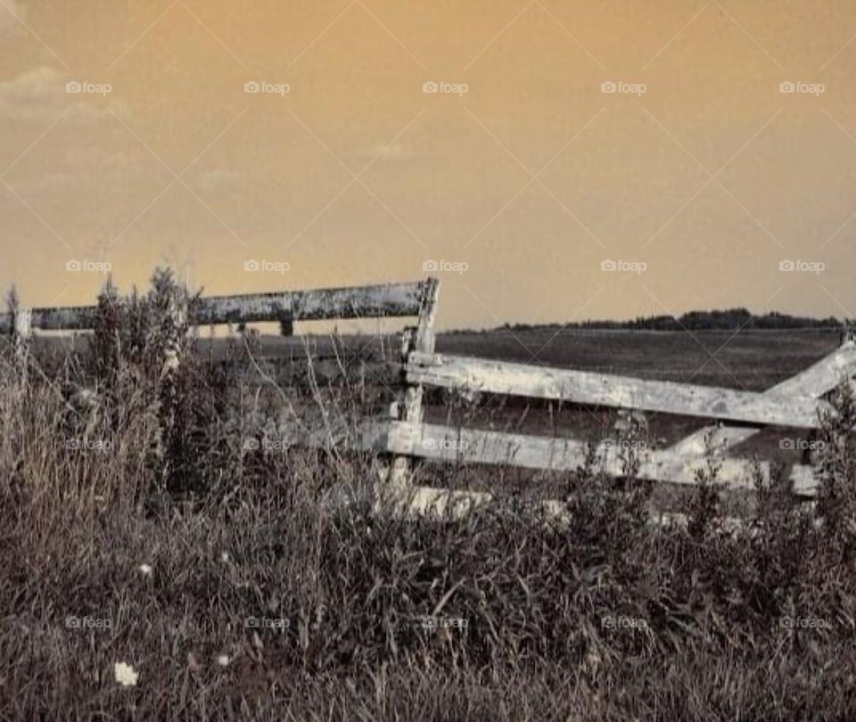 Old Amish fence
