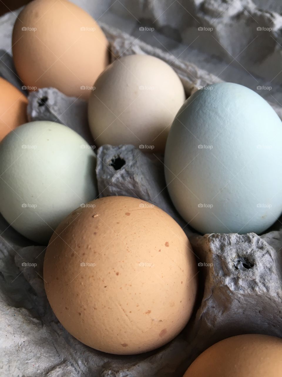 Blue, green and brown farm fresh eggs.