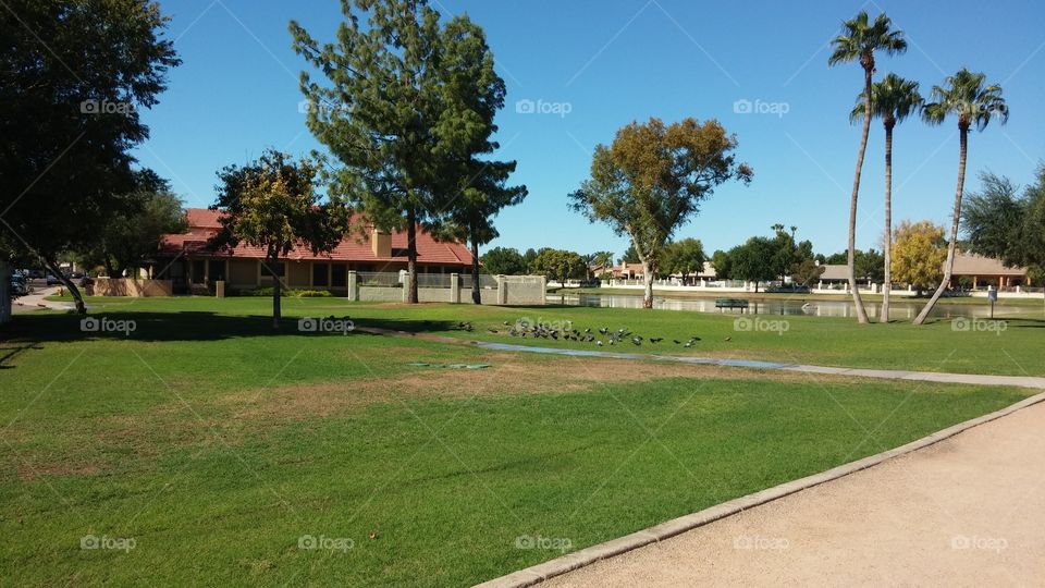 I-Innovation photography