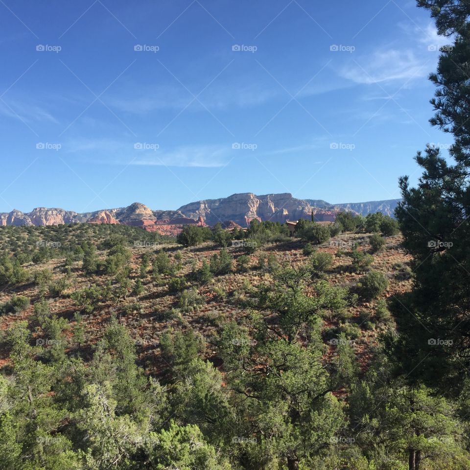 A view in Arizona