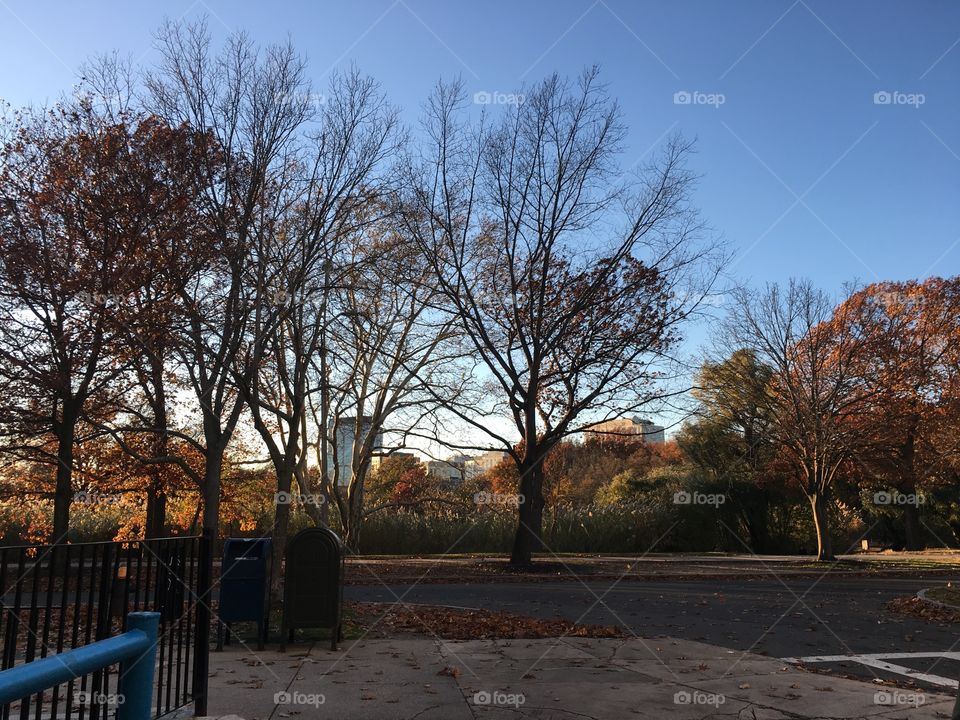 Boston in the evening light