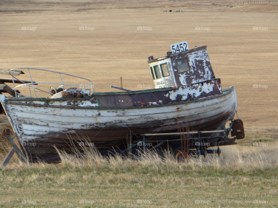 grass boat paint wooden by kshapley