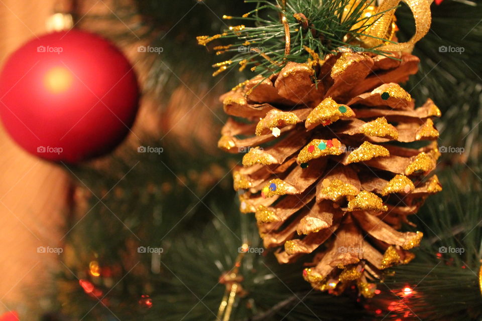 Christmas, Winter, Pine, Tree, Fir