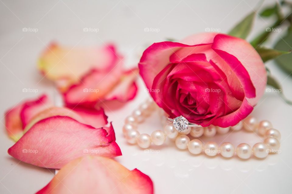 rose， pearl and ring