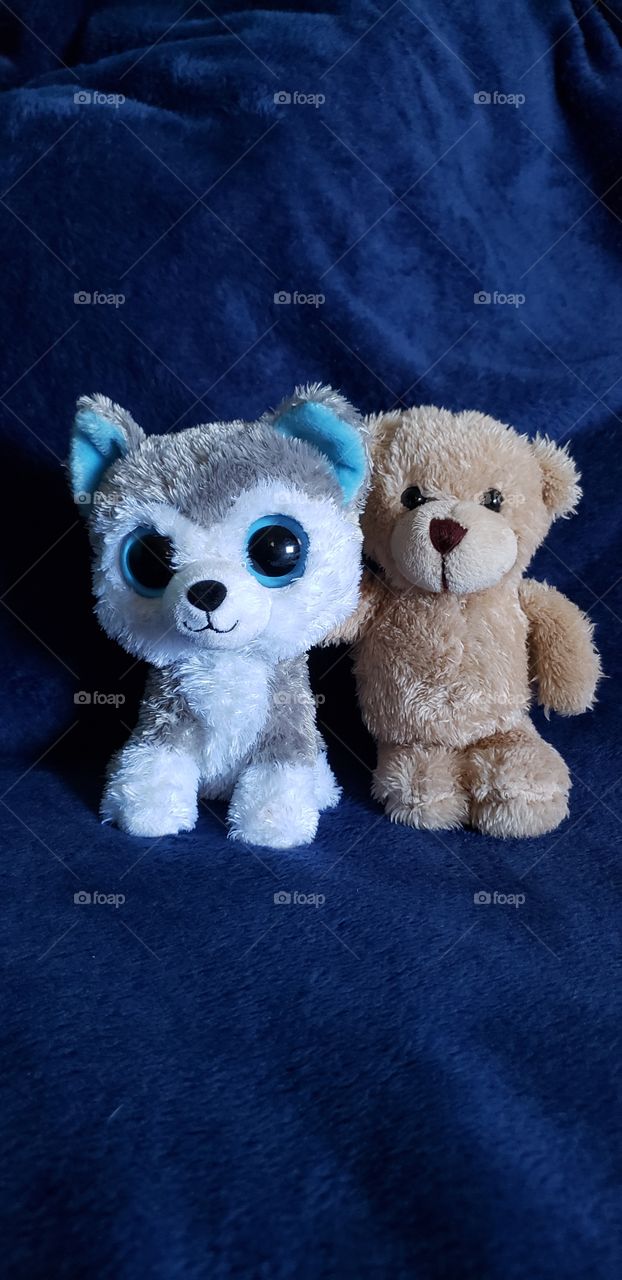 Two Stuffed Buddies