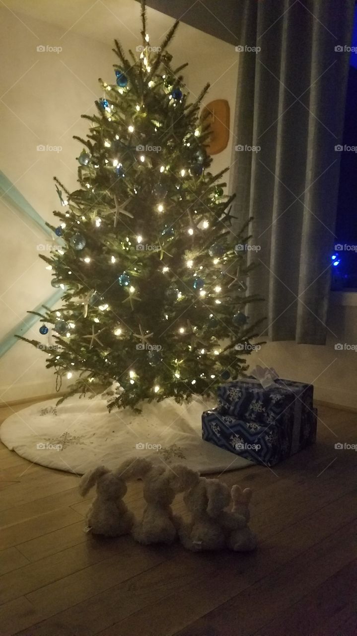Bunnies enjoying Christmas