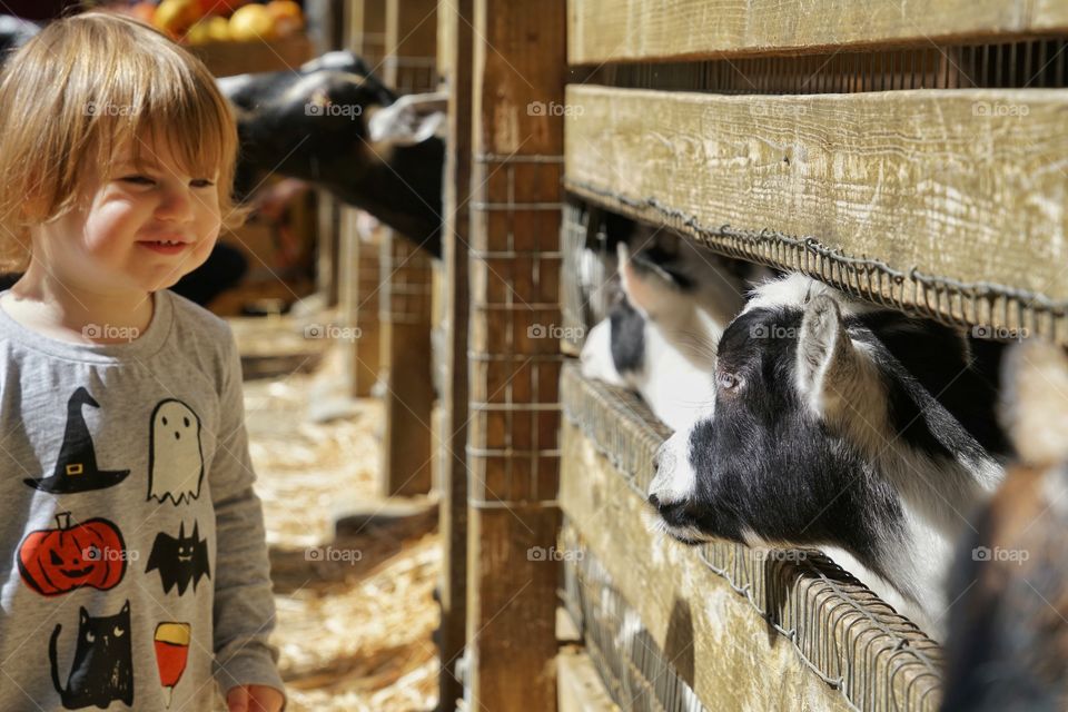 Young Girl On The Farm