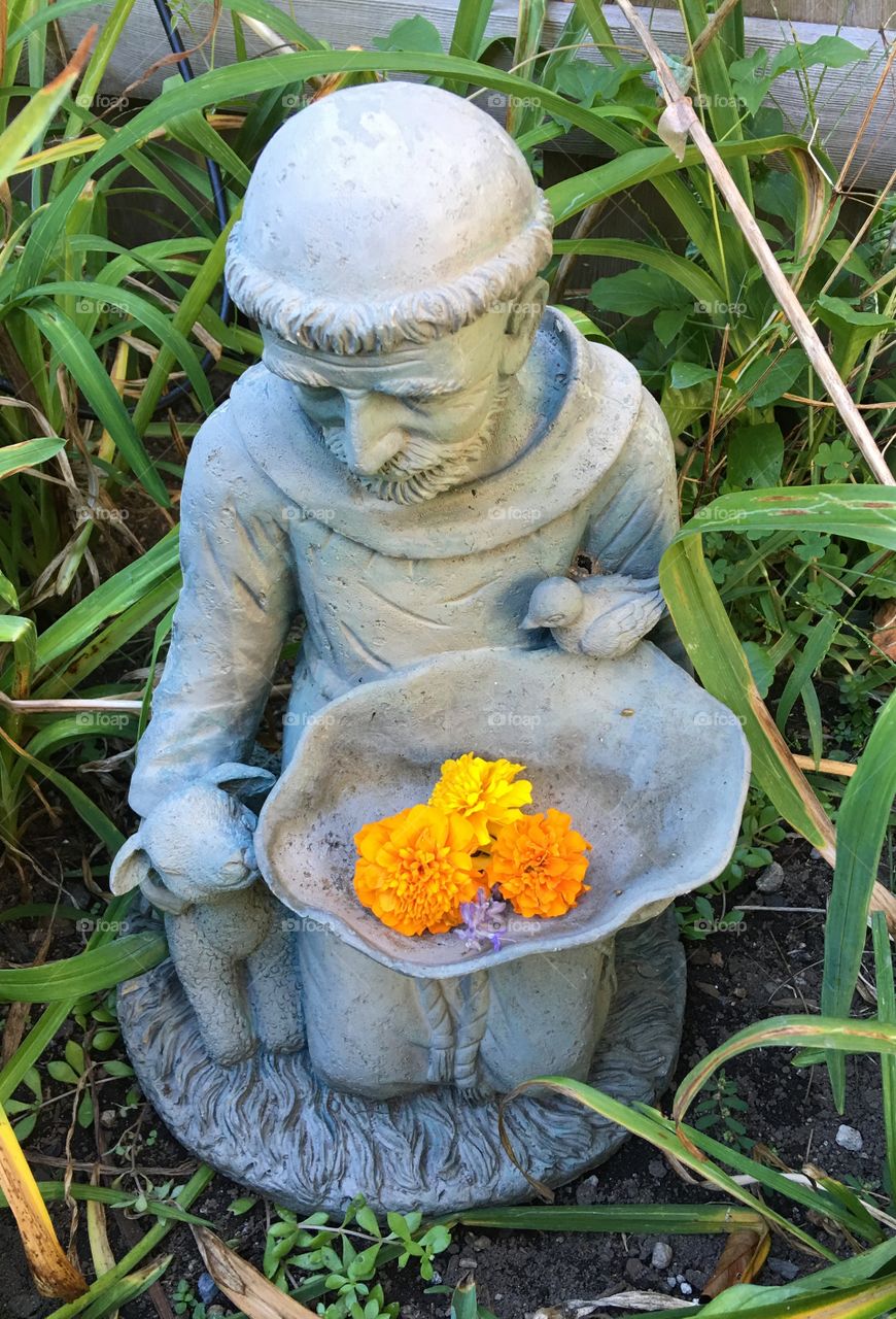 Orange Color Story-Garden Statuary St Francis of Assisi