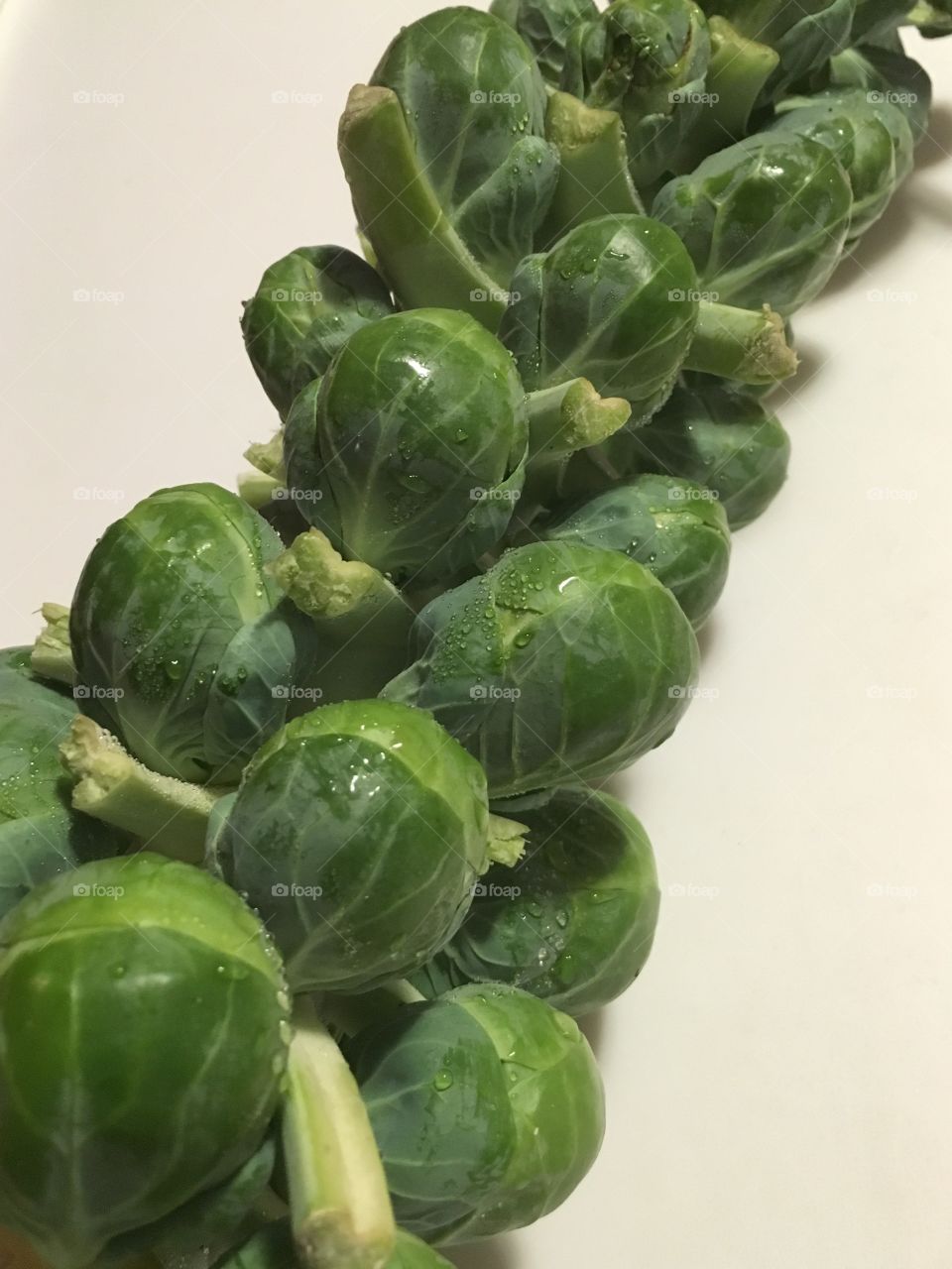 Brussels Sprouts on a Stalk