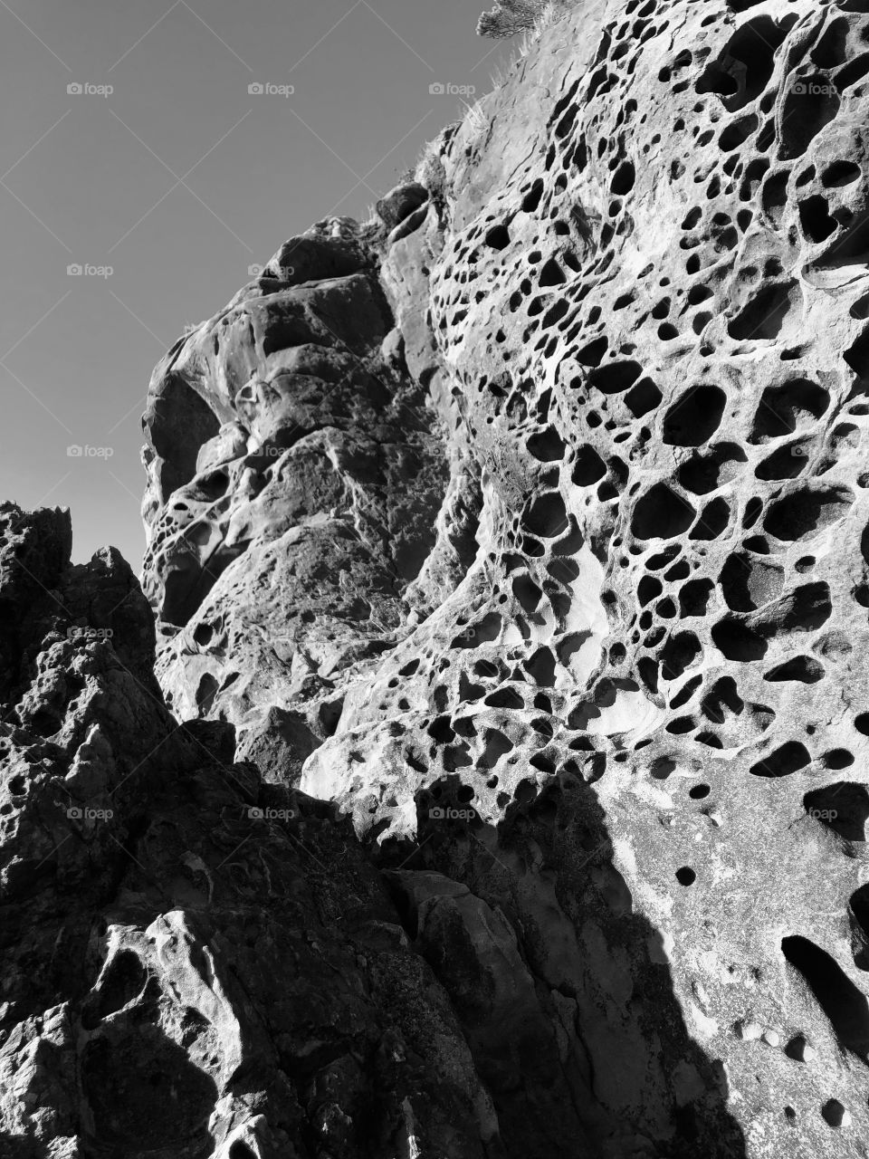 Weathered Beach Rock 