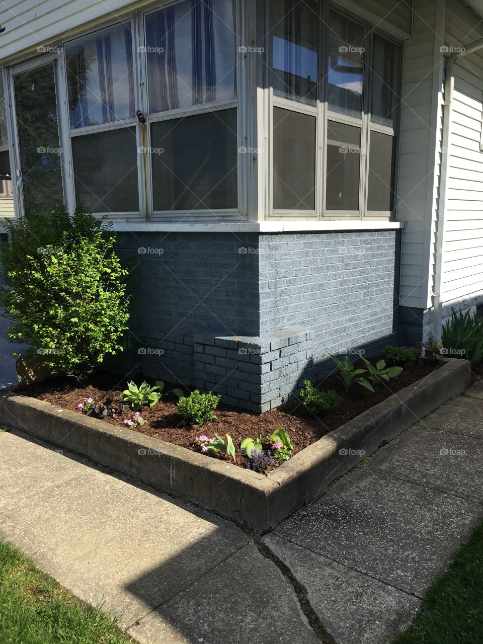 Front out house, shrubs and flowers