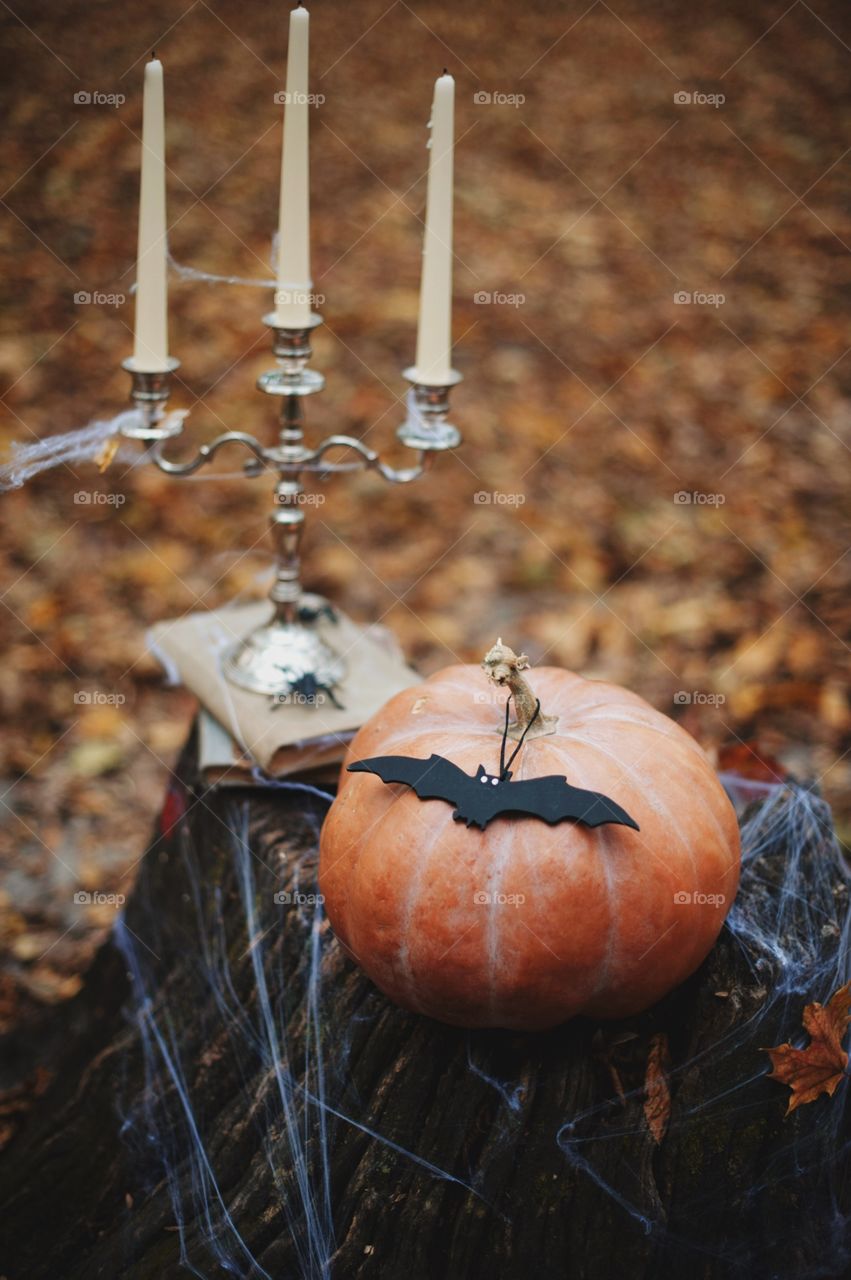 forest, night, holiday, decorations, snacks, fall, orange, black, mystery, Halloween, dark, glowing, candy, flashlight, ginger, fun, cute, fog, gloomy, burning, candle, flame, Jack, face, smile, autumn, symbol, skeleton, dark, above, scary, good, funny, background, lonely, sadness, darkness, magic, event, bat, Ghost, concept, trick, emblem, Phantom, pumpkin face, pumpkin, October, September, werewolf, mage, terrible, grim, supernatural, treat, trick or treat, horrible, wizard, Jack-lantern