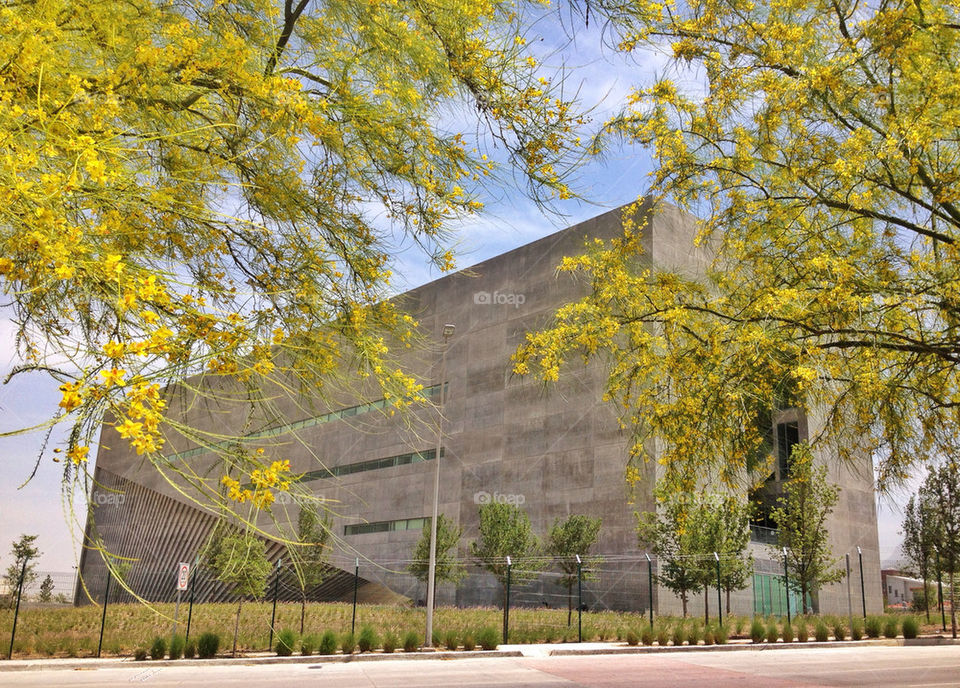 University School building designed by Japanese famous architect Tadao