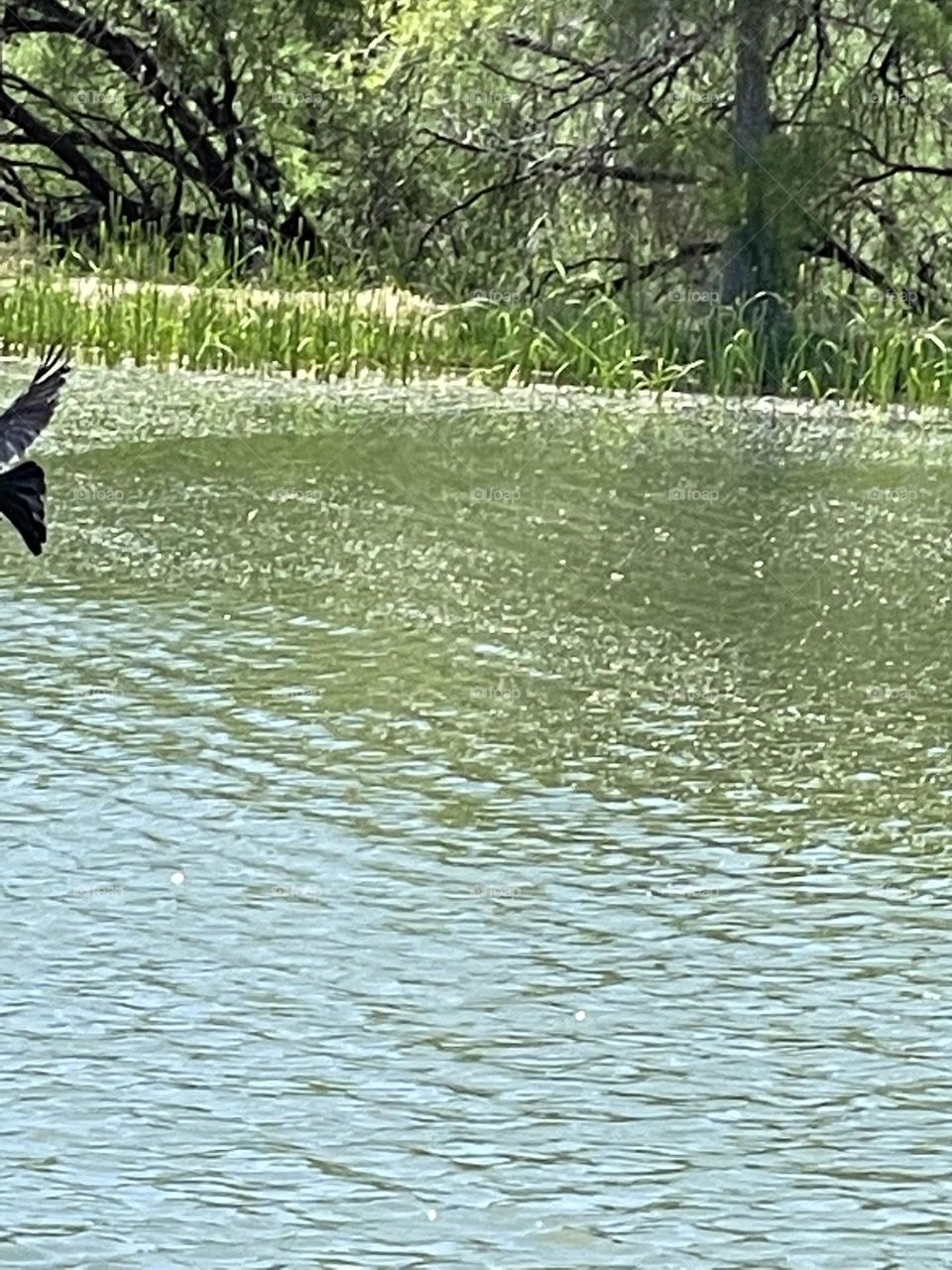 Water beautiful flow 