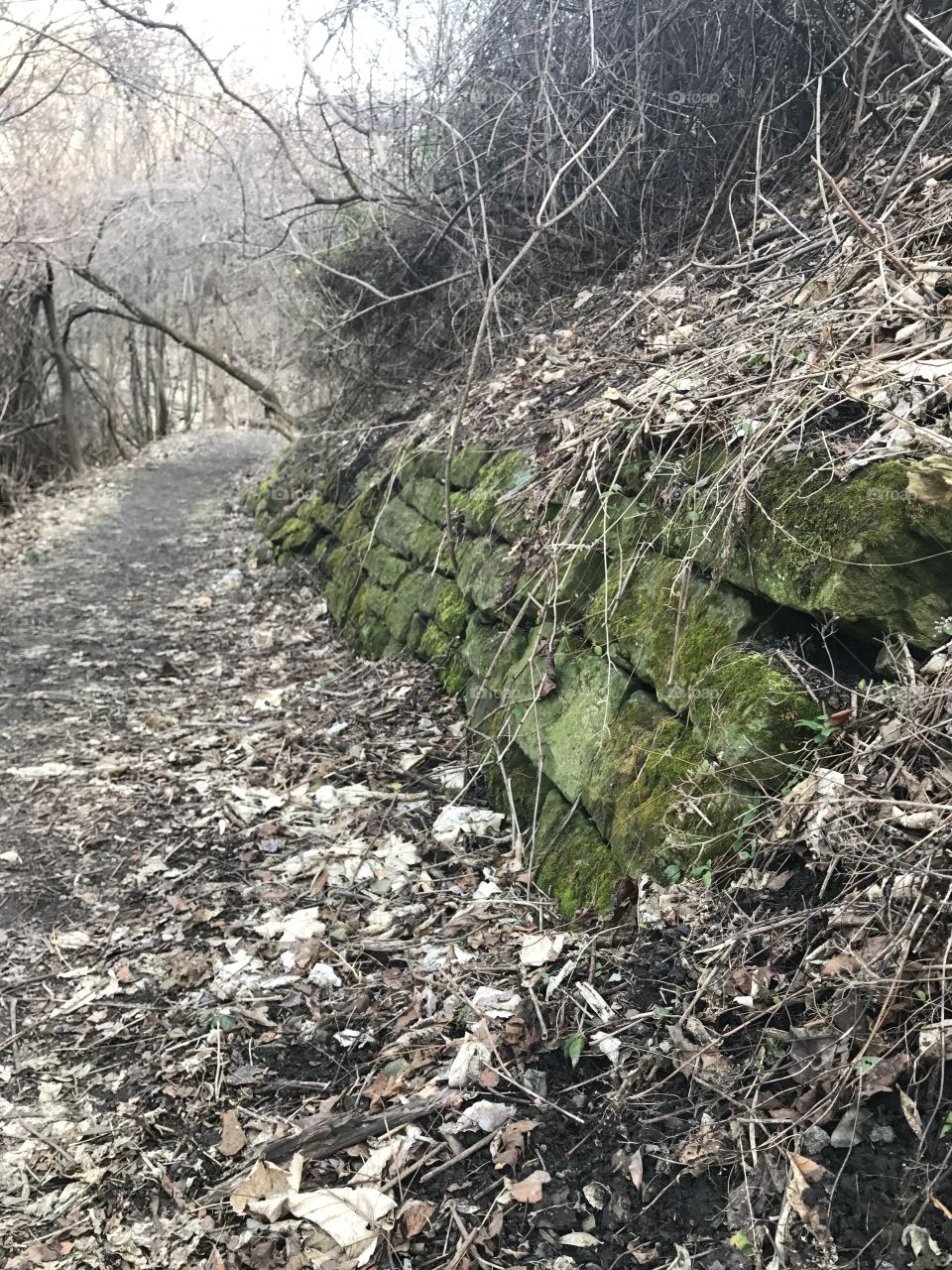 Green Brick Path