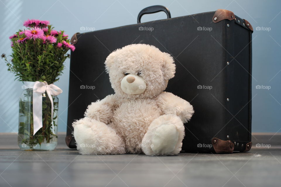 Teddy bear