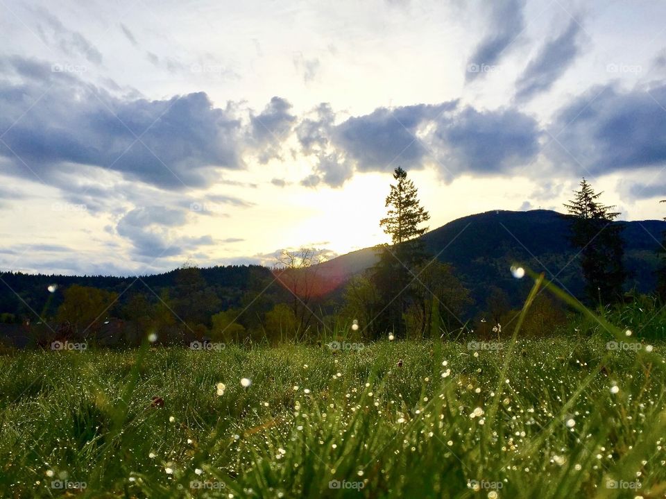 Landscape, Grass, No Person, Nature, Outdoors