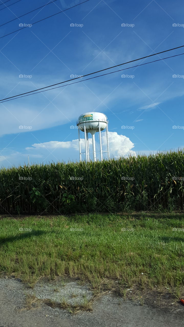 water tower and corn field