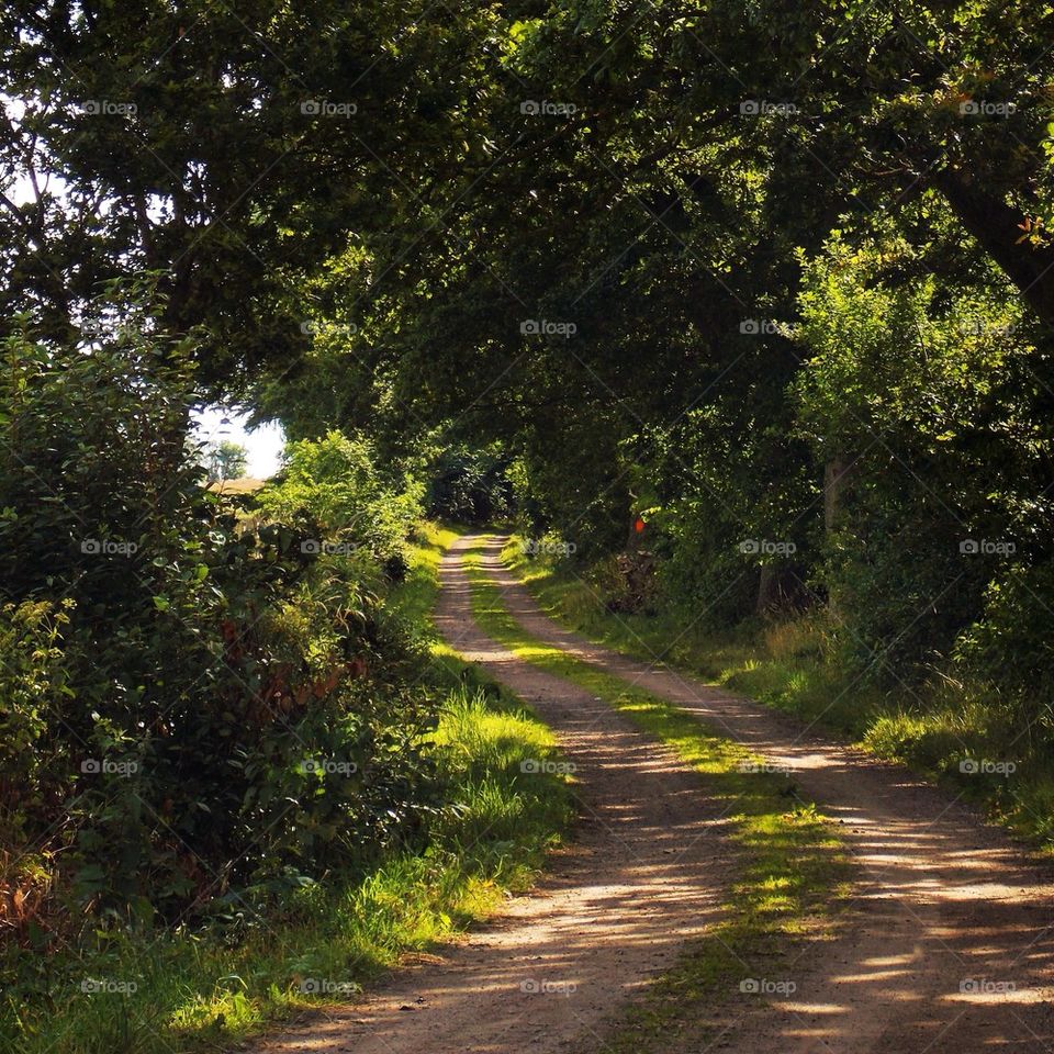 A small countryroad