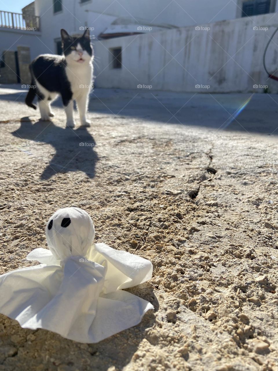 Cute ghost and black and white ghost in background.