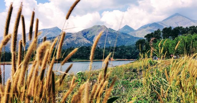 Beauty of Kerala