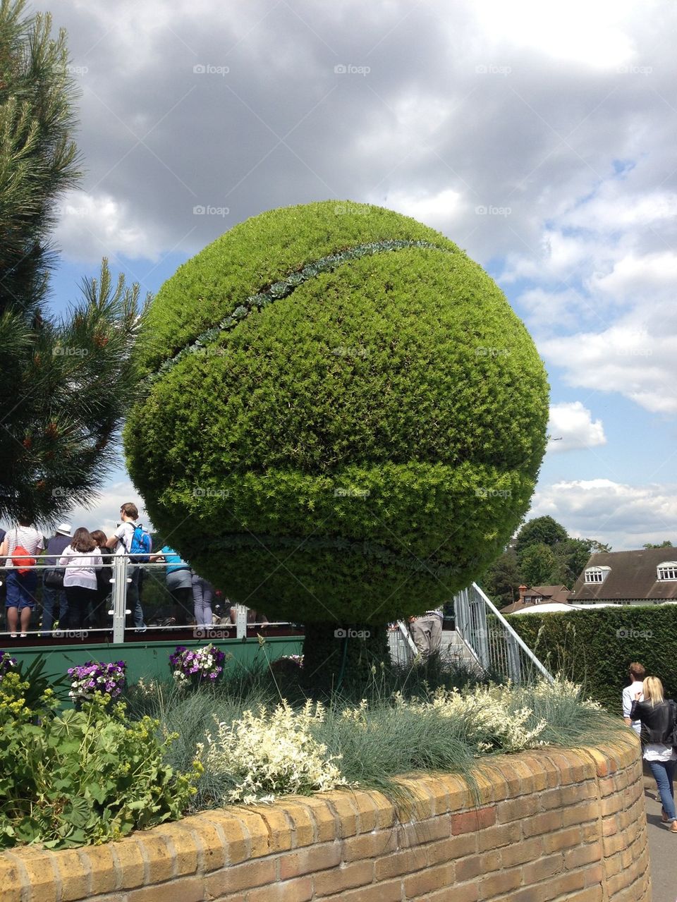 Tennis ball garden