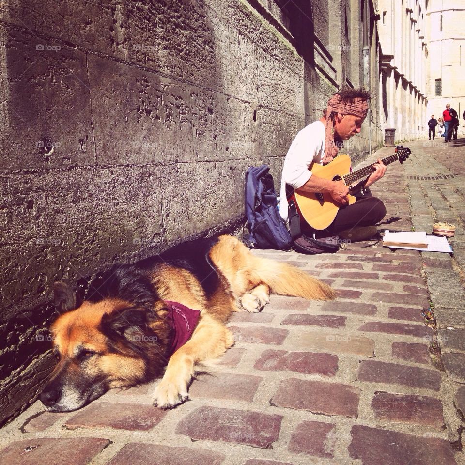 German Shepard with street musician in Rouen