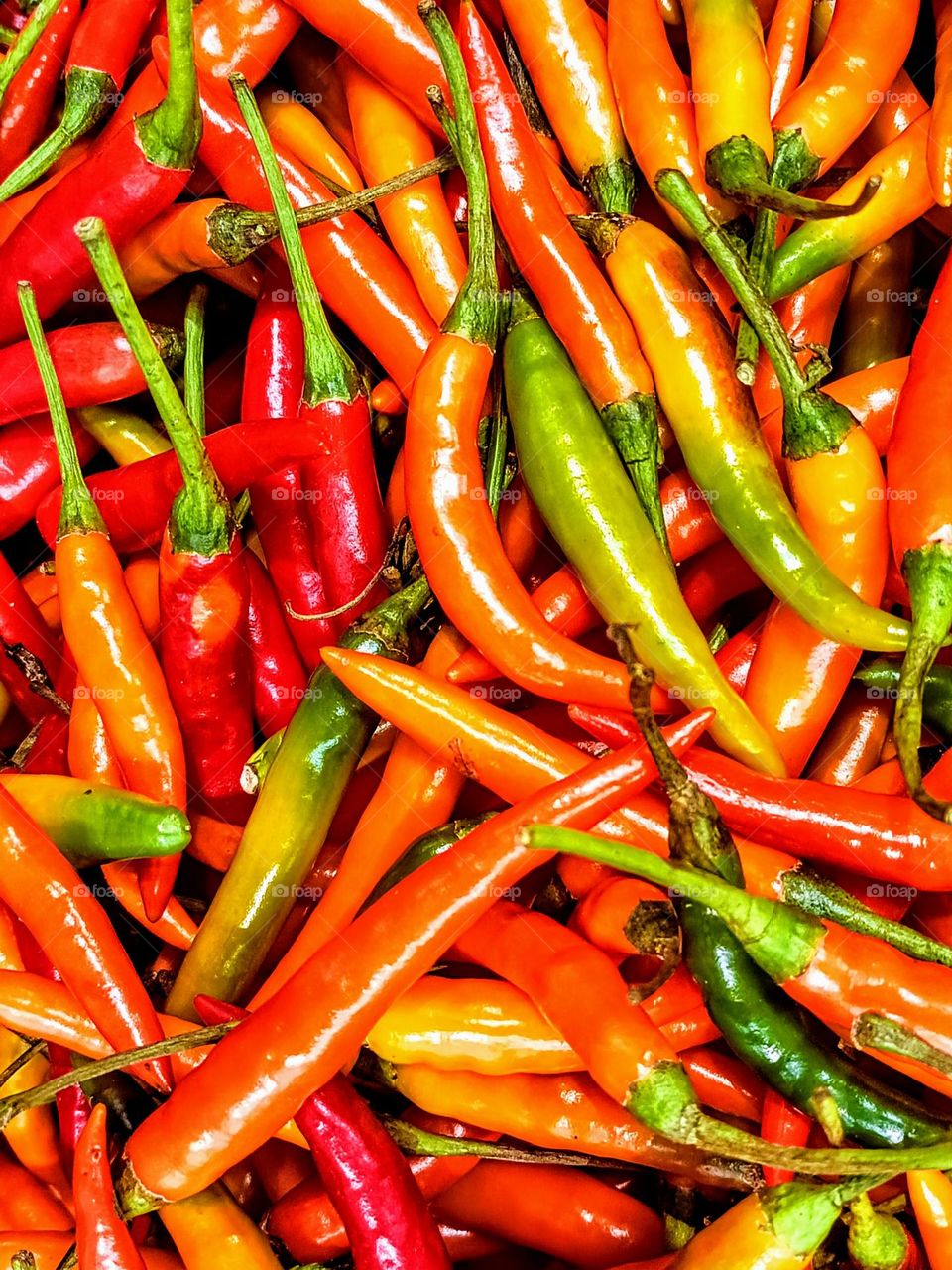 Colorful chilies background.