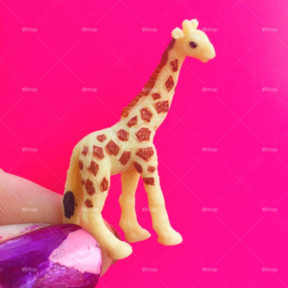 Mini giraffe 