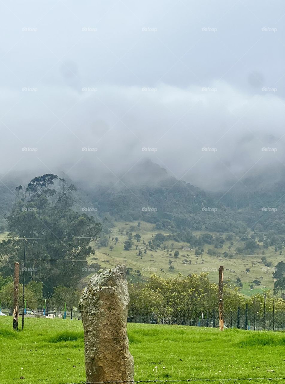 Paisaje de campo 