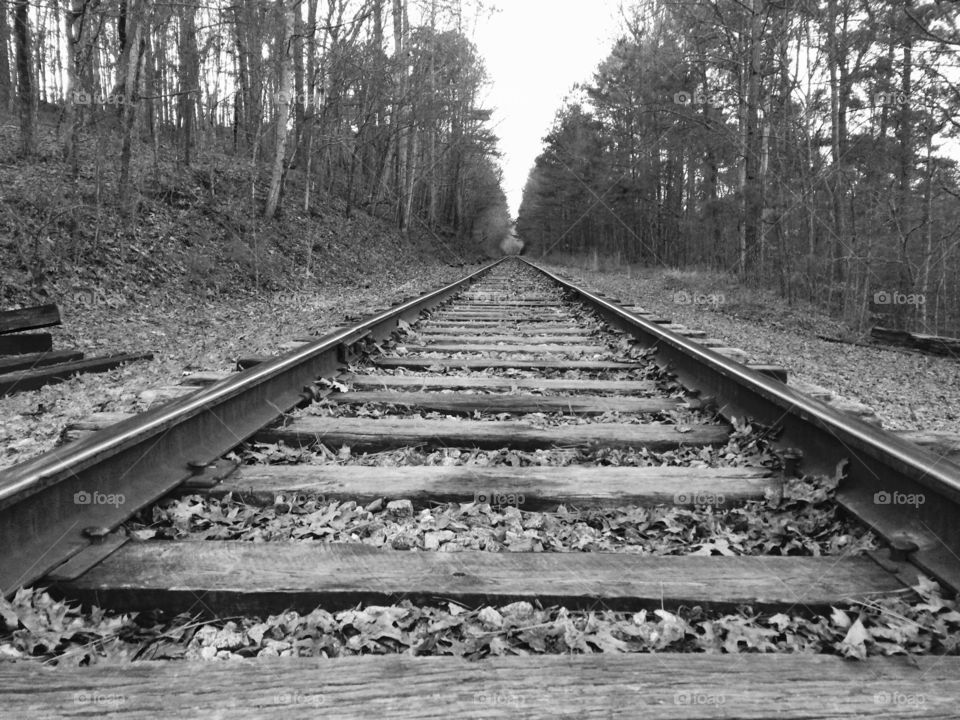 The tracks 