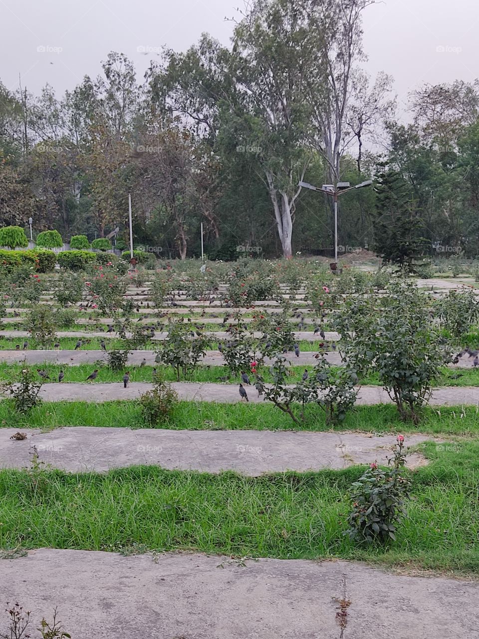 Beautiful View. 🌳🌳🌳🌱🌴🌳🌿👣👣👣👣👣👣👣👣👣👣👣👣