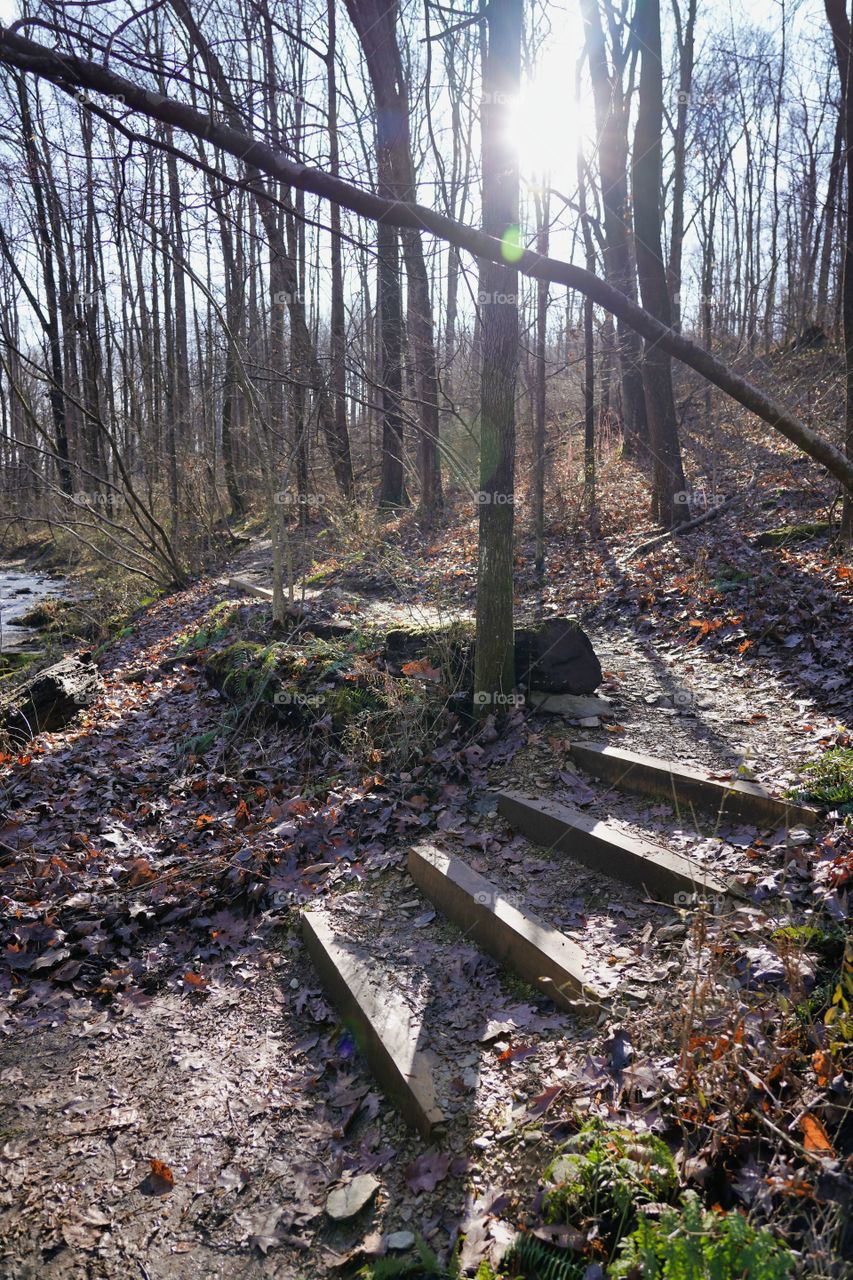 trail steps