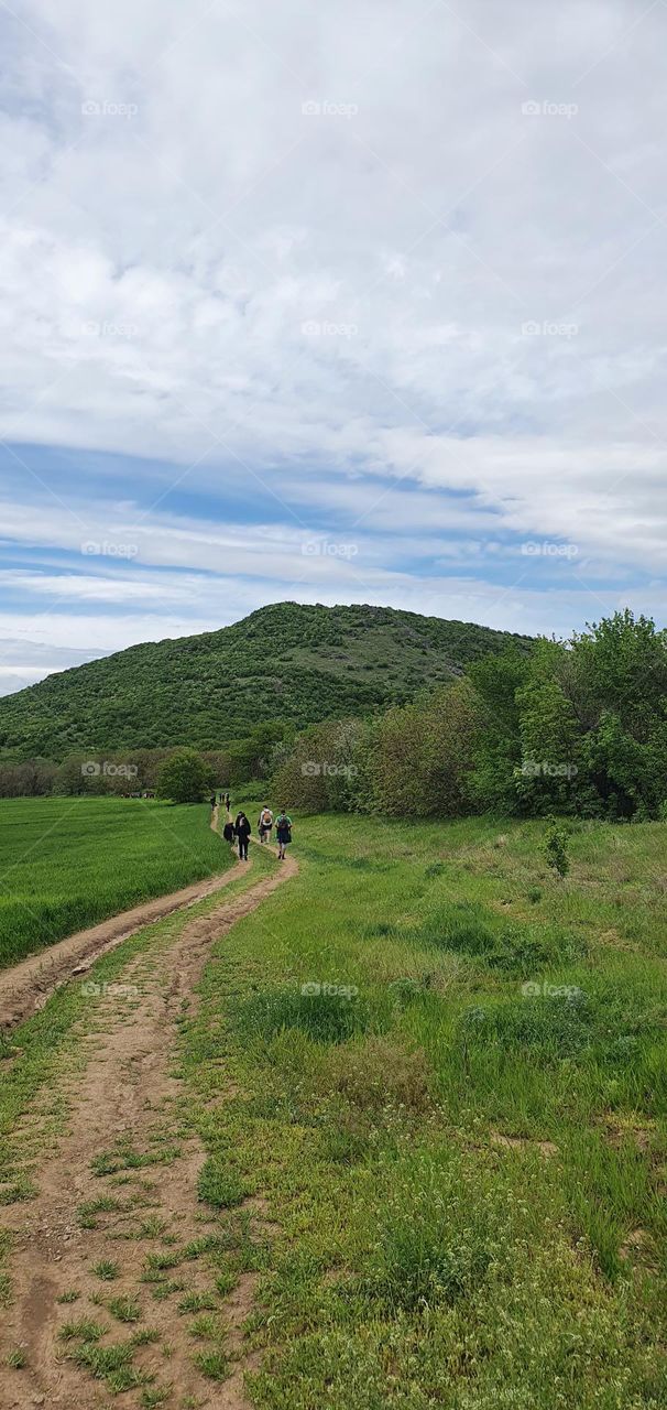 The road that is conducting to the forest