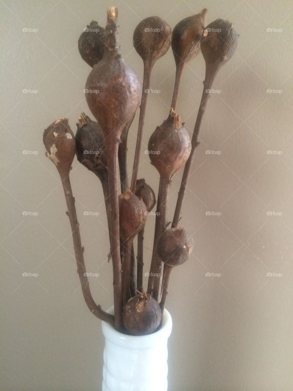 Head knocker bouquet