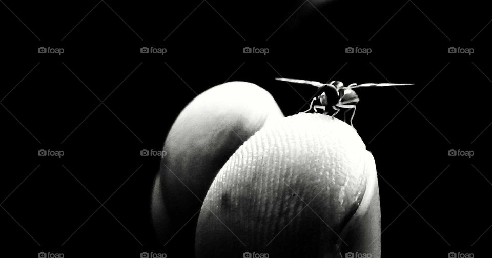 Monochrome, People, One, Black And White, Dark