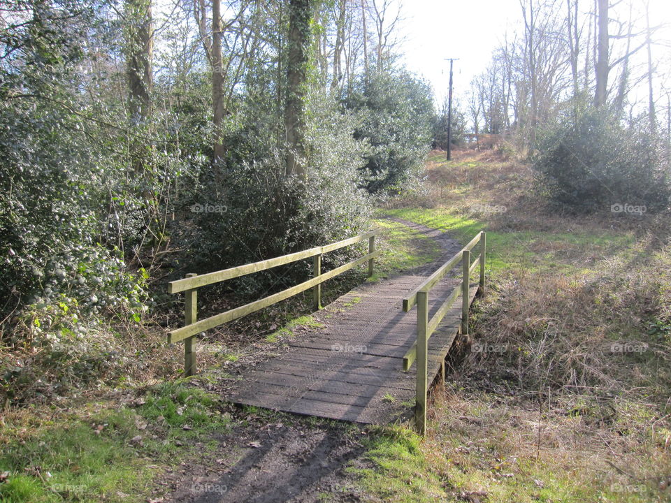 Wooden Bridge